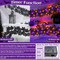Timer & 2 Pack - Halloween Garland with Lights Total 12Ft 52LED Purple & Orange Lights (Black)